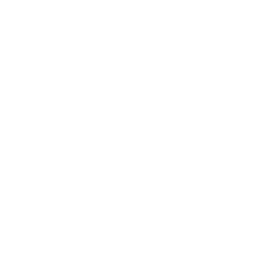 Energy icon