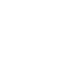 Finance icon