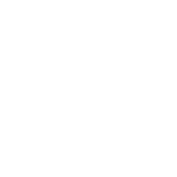 Specialized icon