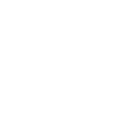 Healthcare icon
