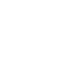 IT icon