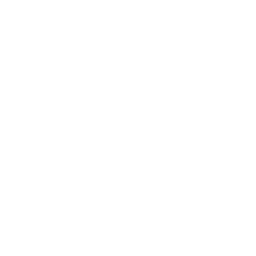 Technology icon